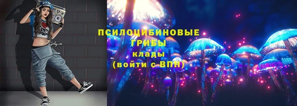 СК Алексеевка