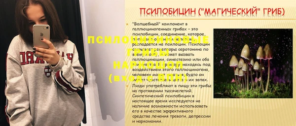 СК Алексеевка